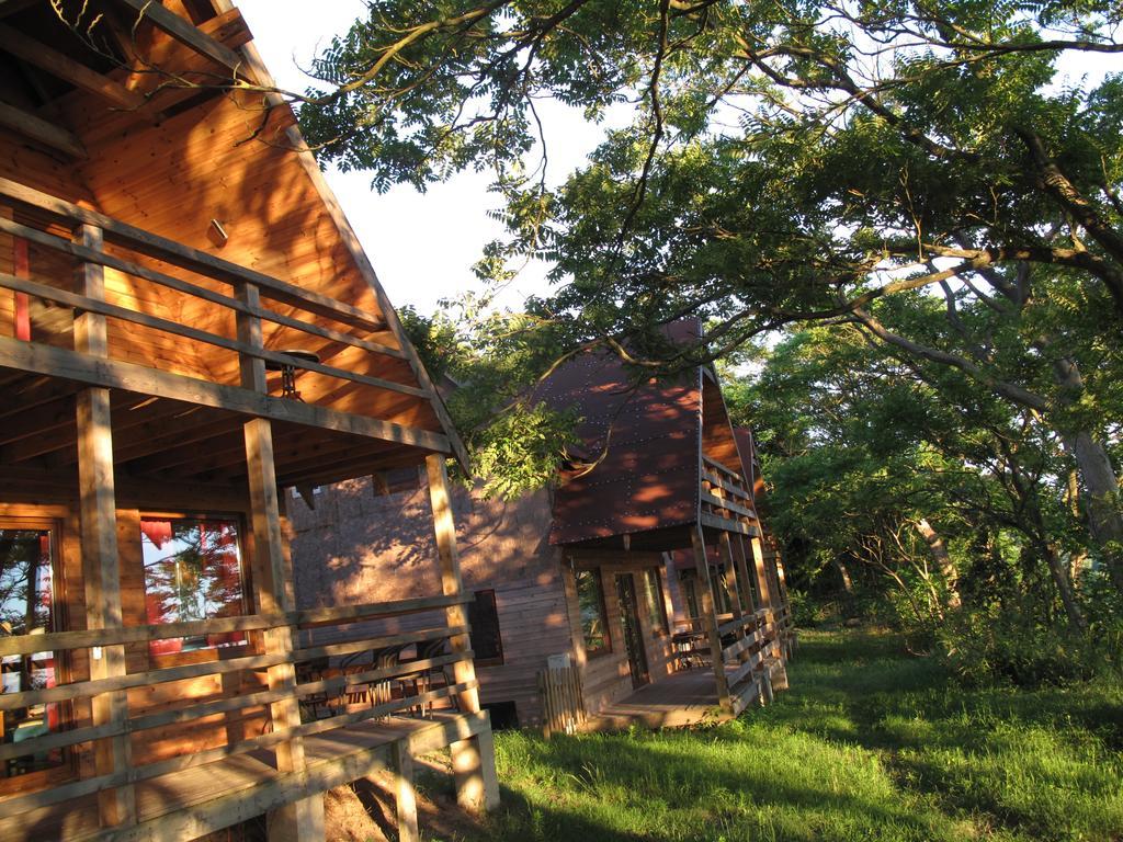 Hôtel Osrodek Wczasowy Zloty Dab - Domki à Miedzyzdroje Extérieur photo