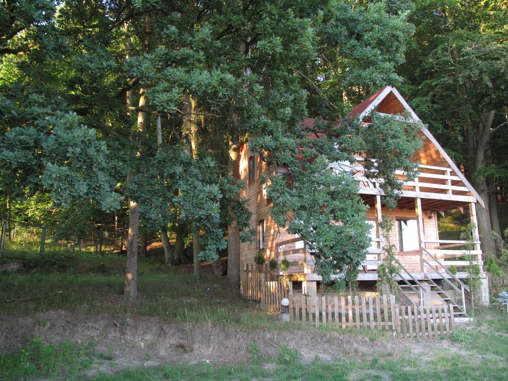 Hôtel Osrodek Wczasowy Zloty Dab - Domki à Miedzyzdroje Extérieur photo